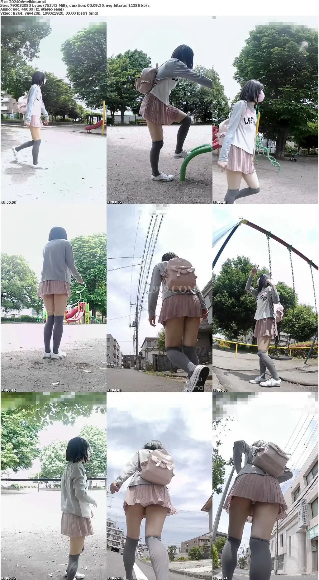 202406meikko_s.webp