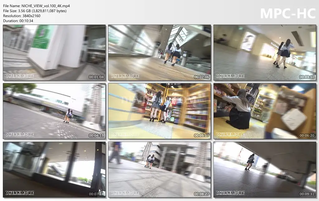 NICHE_VIEW_vol.100_4k_s.webp