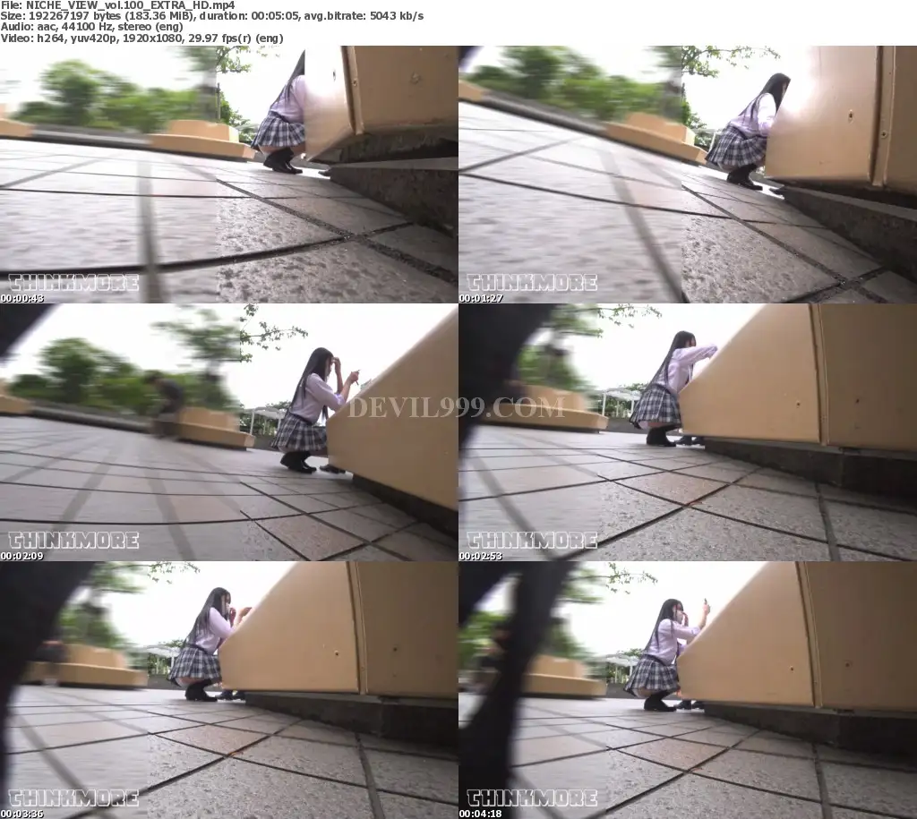NICHE_VIEW_vol.100_EXTRA_HD_s.webp