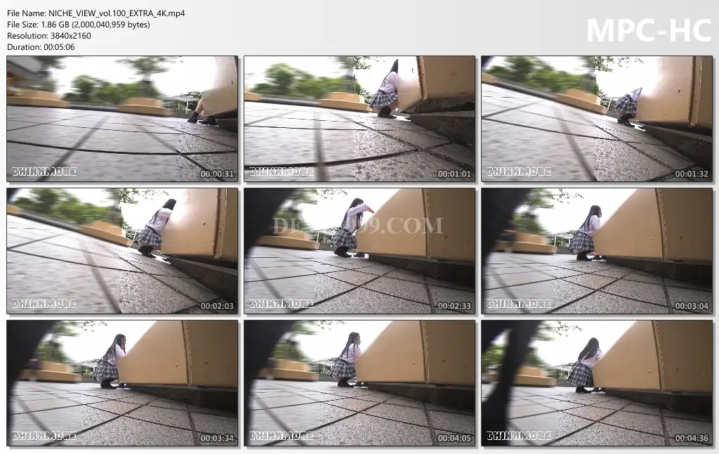 NICHE_VIEW_vol.100_extra_4k_s.webp