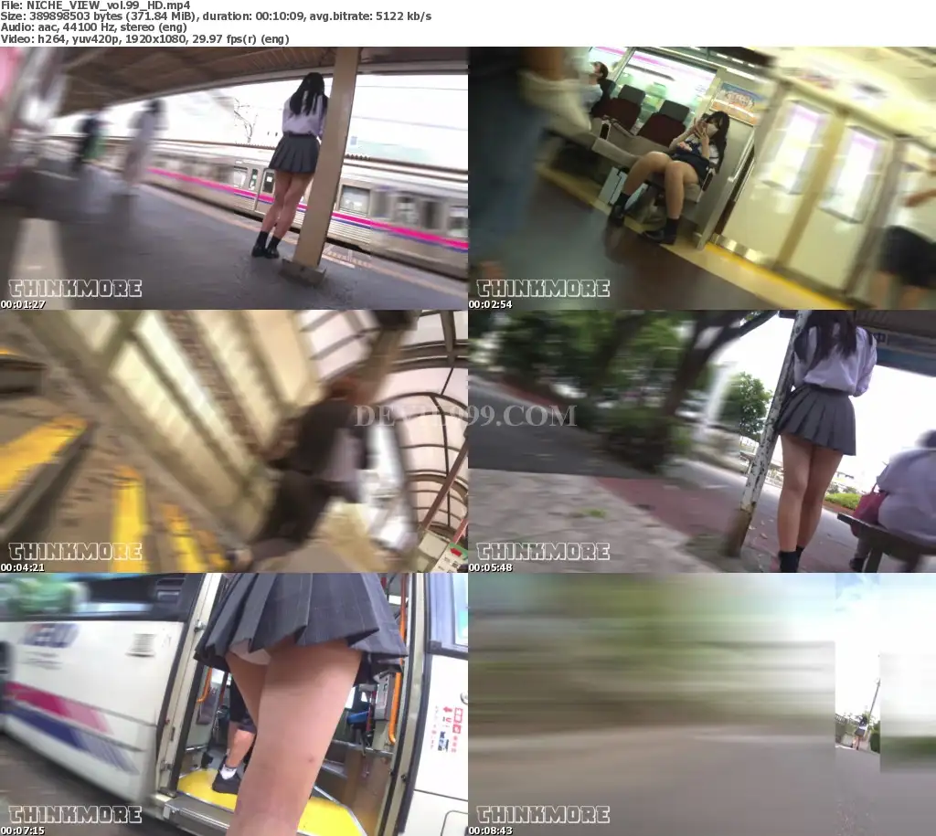 NICHE_VIEW_vol.99_HD_s.webp