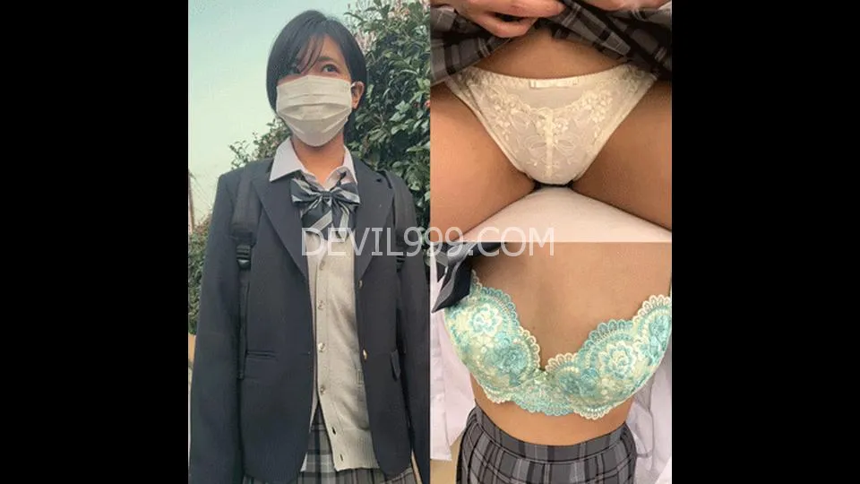 【交渉痴漢③】【大泉桜〇等学校】校内不純異性交遊 なつき度ゼロの女子〇生と育むアオハル記録【6日分】
