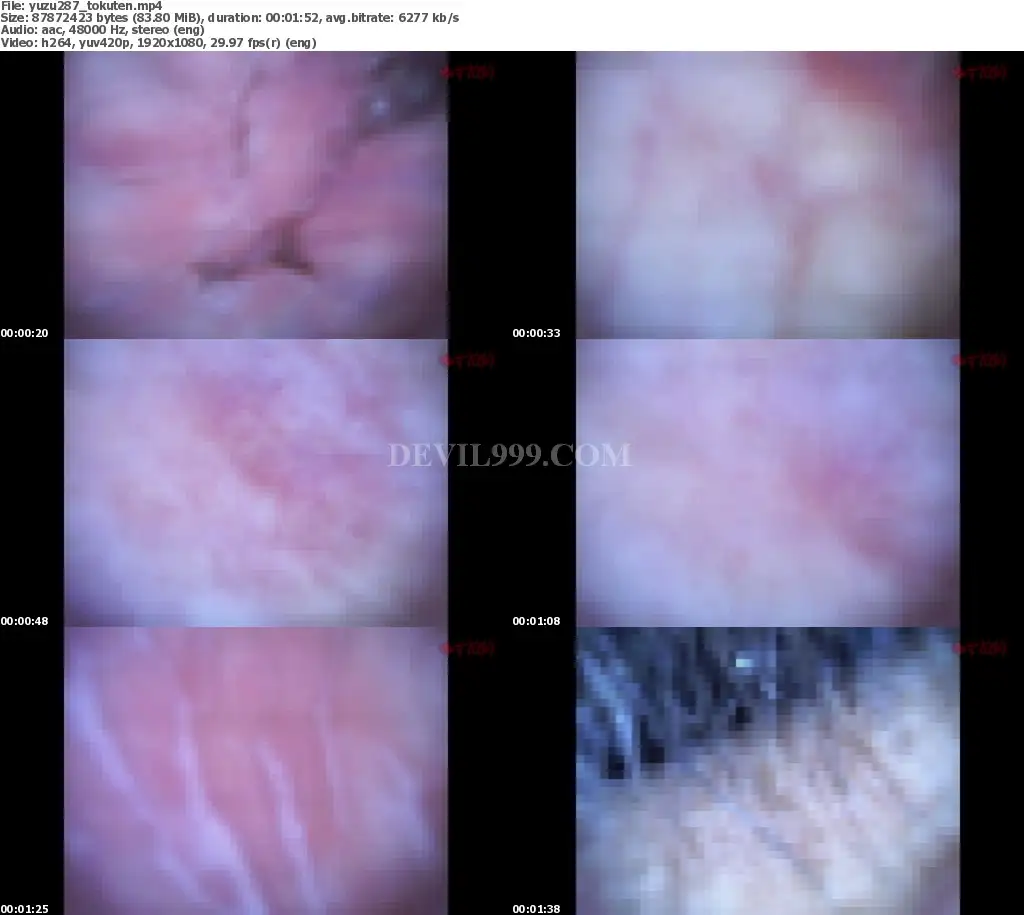 yuzu287_tokuten_s.webp